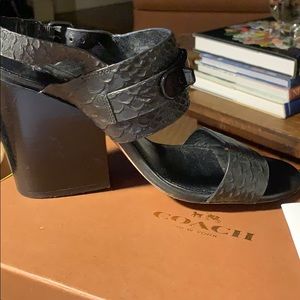 Black leather Coach Sandals